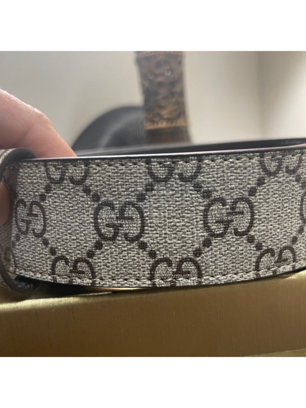 Gucci - Picture 7 of 9